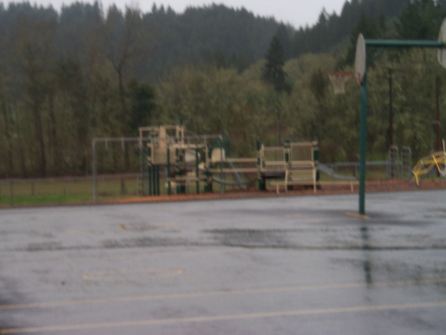Twin Oaks Playground