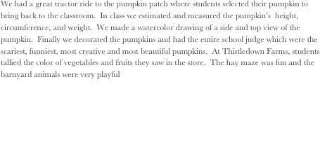We had a great tractor ride to the pumpkin patch where students selected their pumpkin to bring back to the classroom.  In class we estimated and measured the pumpkin’s  height, circumference, and weight.  We made a watercolor drawing of a side and top view of the pumpkin.  Finally we decorated the pumpkins and had the entire school judge which were the scariest, funniest, most creative and most beautiful pumpkins.  At Thistledown Farms, students tallied the color of vegetables and fruits they saw in the store.  The hay maze was fun and the barnyard animals were very playful
Pumpkin Decorating Contest Winners!
Most Creative: Lindy McCool and Samantha Price
Most Beautiful:  Haven Burley, Claire Lin and  Sriyani Cunarathne
Funniest: Erhard Nielsen, and Violet Ivy
Scariest:  Martha Brasted-Maki, Caleb Burt and Taishi Johnson
