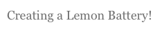 Creating a Lemon Battery!