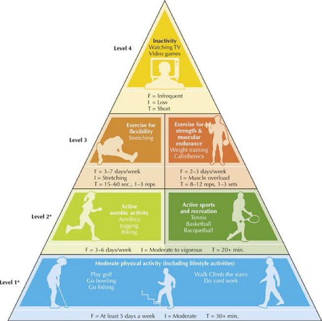 Physical Activity Pyramid